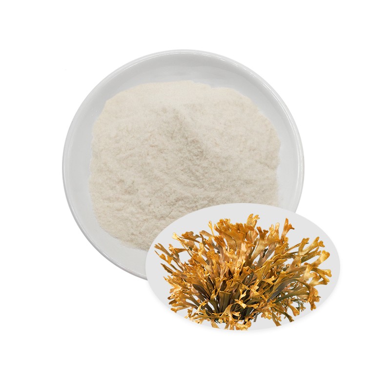 Fucoidan Powder